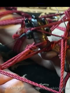 网红男女通吃SM调教御姐maya女王订阅绳缚虐乳拘束强制高潮鞭打DID-(8) 网红男女通吃SM调教御姐maya女王订阅绳缚虐乳拘束强制高潮鞭打DID-(8)