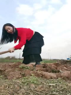 骚气红衣少妇【我要找一夜情】喜欢户外露出,野外锄地露出大屁股塞着跳蛋,旁边还有人回车上自慰 骚气红衣少妇【我要找一夜情】喜欢户外露出,野外锄地露出大屁股塞着跳蛋,旁边还有人回车上自慰