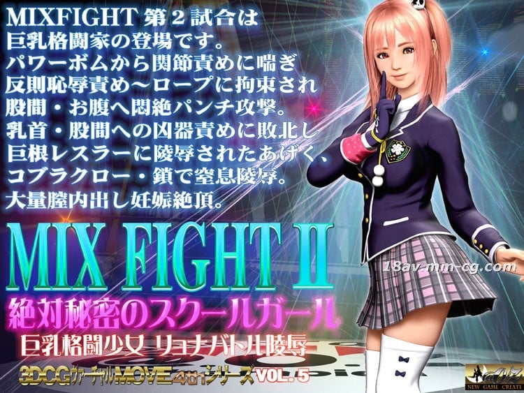 [3D]混合战斗2绝对秘密女学生