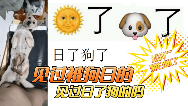 【卧槽,给狗艹翻白眼了】见过被狗日的!见过日了狗的吗? 【卧槽,给狗艹翻白眼了】见过被狗日的!见过日了狗的吗?